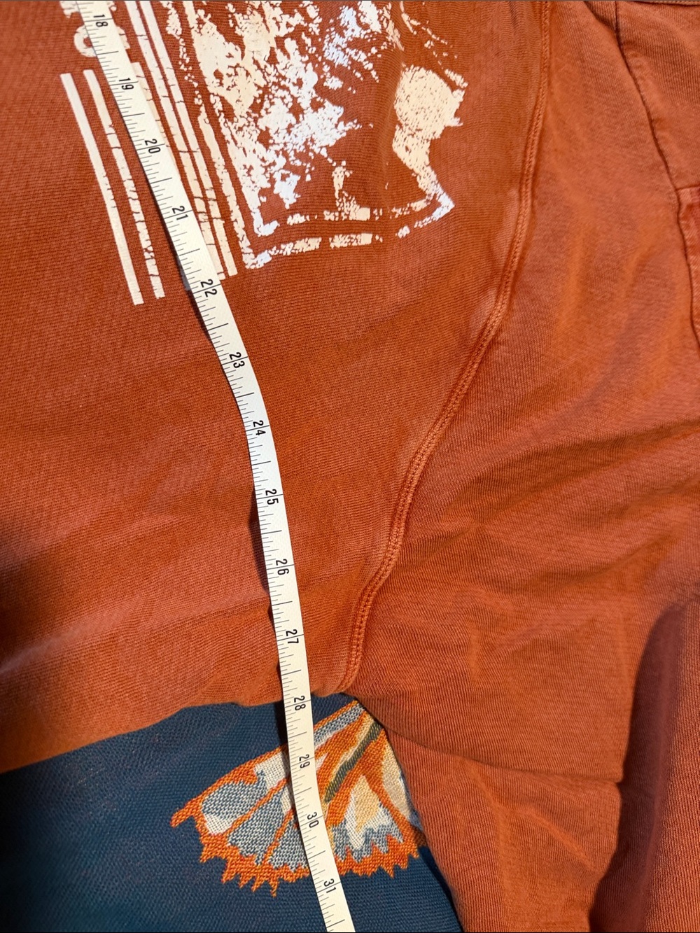 Free People Distressed Pullover Sweater - Rust - Picture 8 of 9